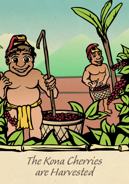Menehune coffee book page