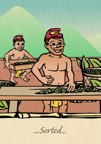 Menehune coffee book page