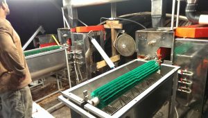 Pulping machine removing skin from fresh Kona coffee cherries during wet processing